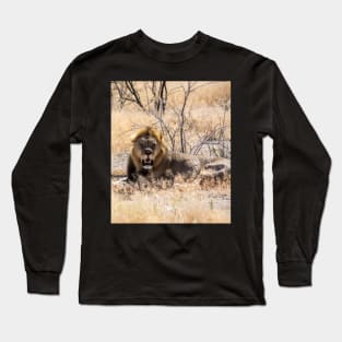 Lion in the sun. Long Sleeve T-Shirt